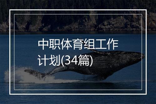 中职体育组工作计划(34篇)