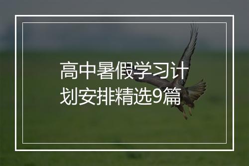 高中暑假学习计划安排精选9篇