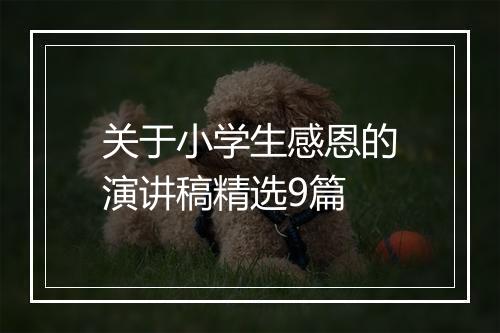 关于小学生感恩的演讲稿精选9篇
