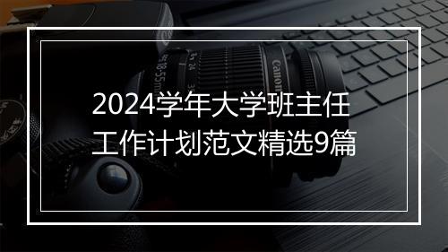 2024学年大学班主任工作计划范文精选9篇