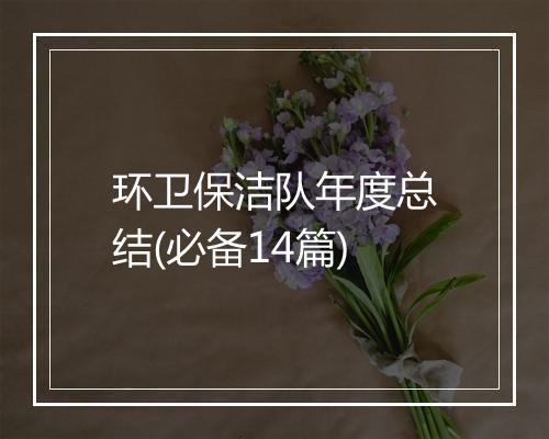 环卫保洁队年度总结(必备14篇)