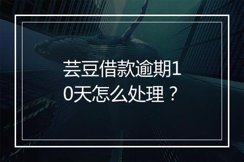 芸豆借款逾期10天怎么处理？