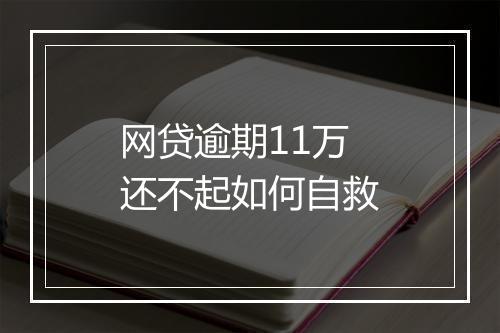 网贷逾期11万还不起如何自救