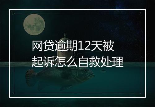 网贷逾期12天被起诉怎么自救处理