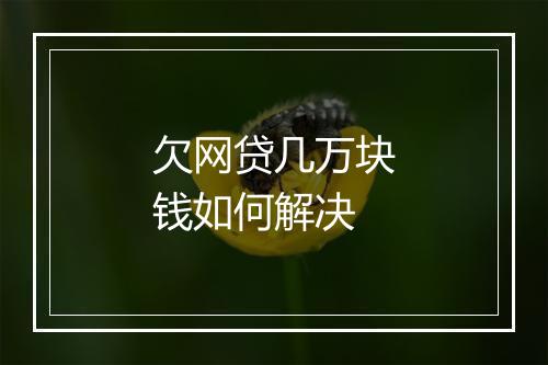 欠网贷几万块钱如何解决