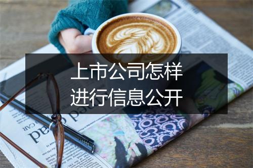 上市公司怎样进行信息公开