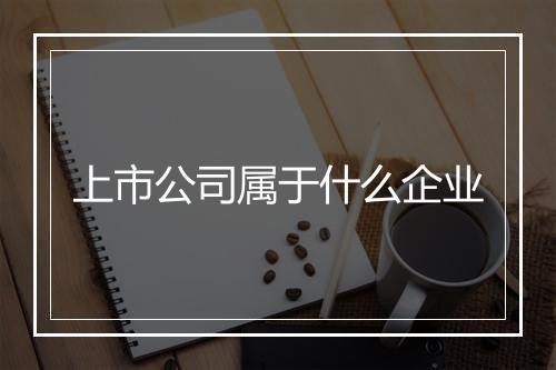 上市公司属于什么企业