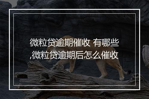 微粒贷逾期催收 有哪些,微粒贷逾期后怎么催收