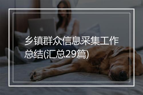 乡镇群众信息采集工作总结(汇总29篇)