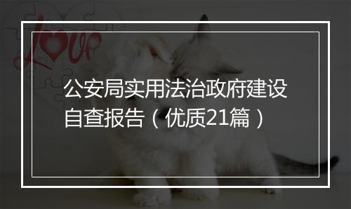 公安局实用法治政府建设自查报告（优质21篇）