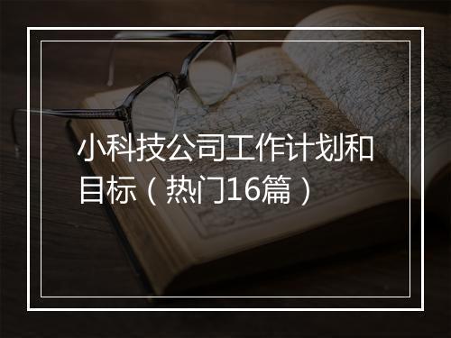 小科技公司工作计划和目标（热门16篇）