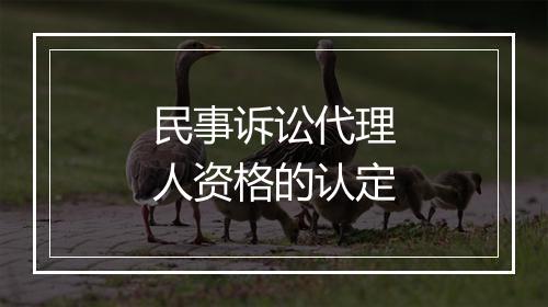 民事诉讼代理人资格的认定