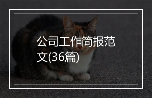 公司工作简报范文(36篇)