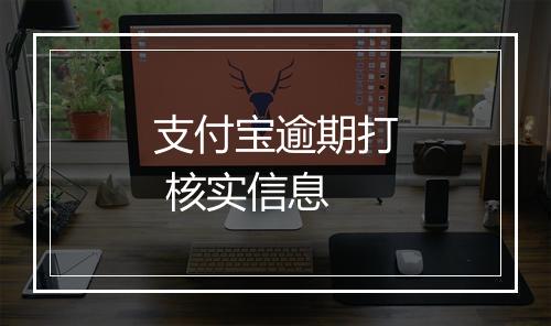 支付宝逾期打 核实信息