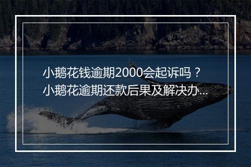 小鹅花钱逾期2000会起诉吗？小鹅花逾期还款后果及解决办法