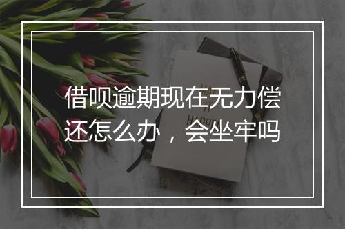借呗逾期现在无力偿还怎么办，会坐牢吗