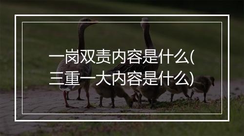 一岗双责内容是什么(三重一大内容是什么)