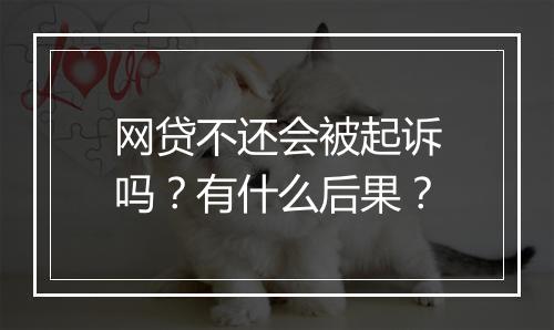 网贷不还会被起诉吗？有什么后果？