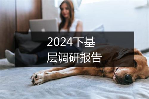 2024下基层调研报告