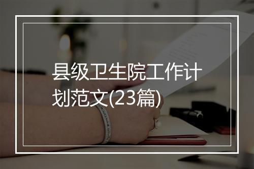 县级卫生院工作计划范文(23篇)