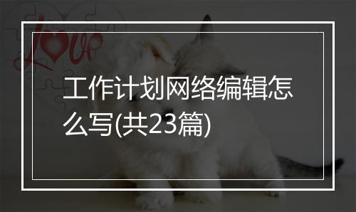 工作计划网络编辑怎么写(共23篇)