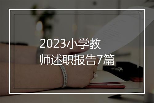 2023小学教师述职报告7篇