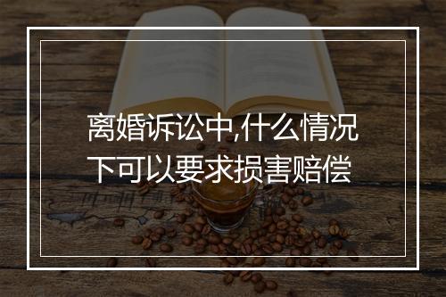 离婚诉讼中,什么情况下可以要求损害赔偿