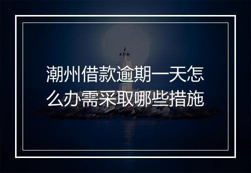 潮州借款逾期一天怎么办需采取哪些措施