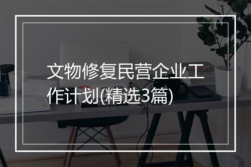 文物修复民营企业工作计划(精选3篇)