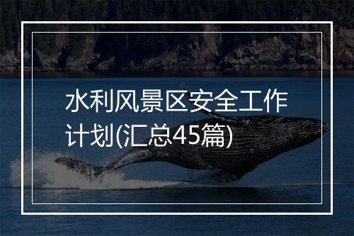 水利风景区安全工作计划(汇总45篇)