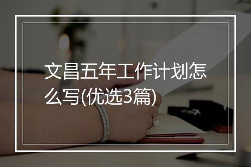 文昌五年工作计划怎么写(优选3篇)