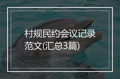 村规民约会议记录范文(汇总3篇)