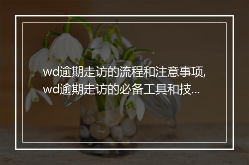 wd逾期走访的流程和注意事项,wd逾期走访的必备工具和技巧