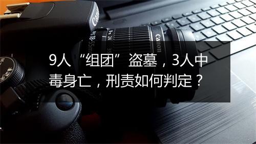 9人“组团”盗墓，3人中毒身亡，刑责如何判定？