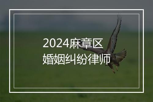 2024麻章区婚姻纠纷律师