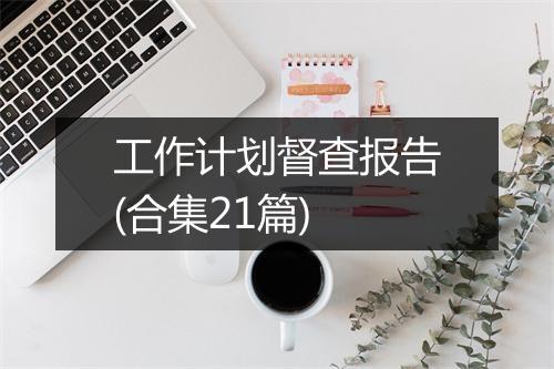 工作计划督查报告(合集21篇)