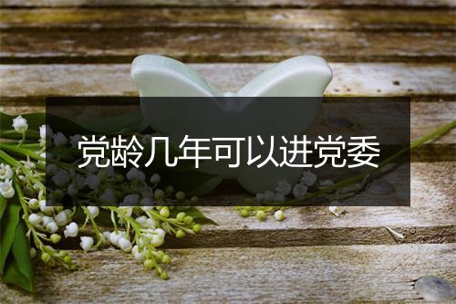 党龄几年可以进党委