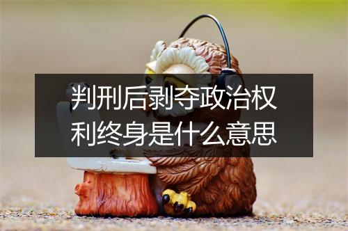 判刑后剥夺政治权利终身是什么意思