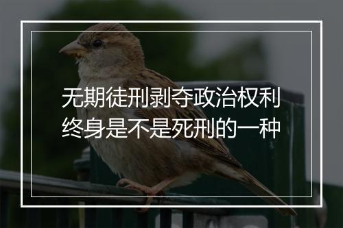 无期徒刑剥夺政治权利终身是不是死刑的一种
