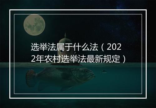 选举法属于什么法（2022年农村选举法最新规定）