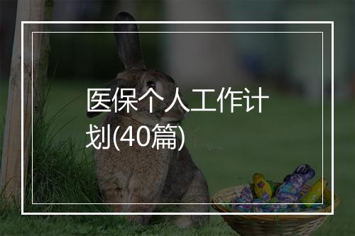 医保个人工作计划(40篇)