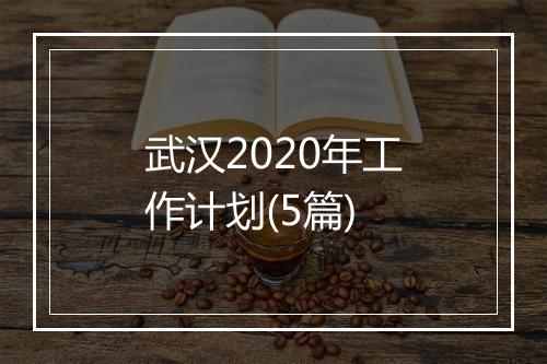 武汉2020年工作计划(5篇)