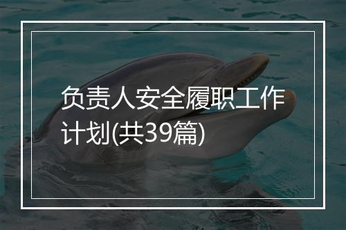 负责人安全履职工作计划(共39篇)