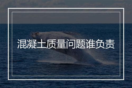 混凝土质量问题谁负责