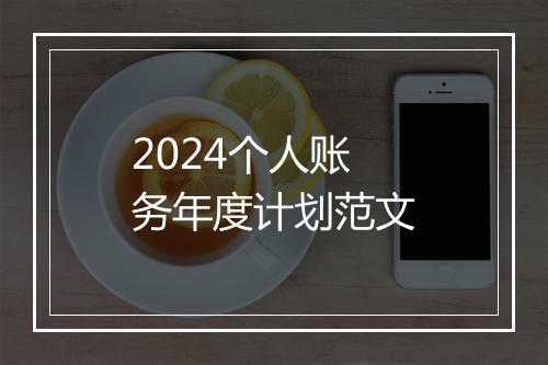 2024个人账务年度计划范文