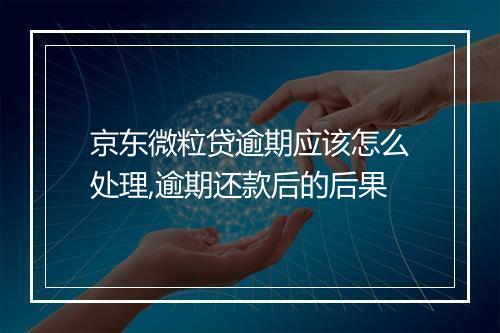 京东微粒贷逾期应该怎么处理,逾期还款后的后果