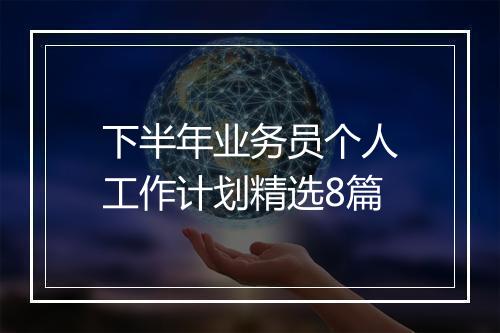下半年业务员个人工作计划精选8篇