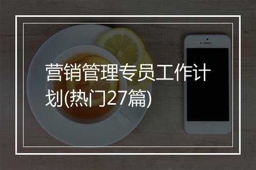 营销管理专员工作计划(热门27篇)