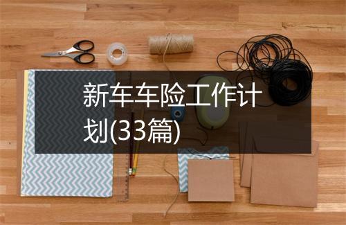 新车车险工作计划(33篇)