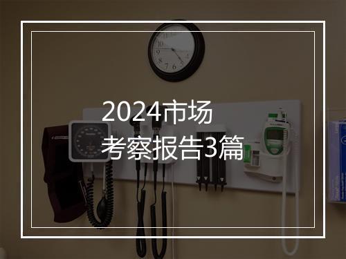 2024市场考察报告3篇